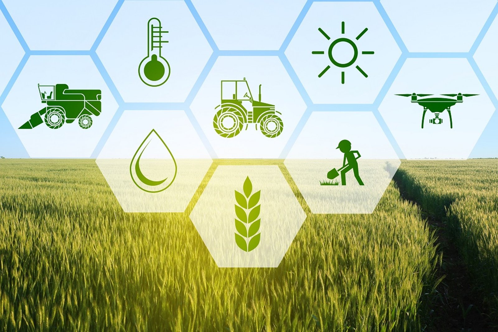 Agri Telegram Group Link Tamil
