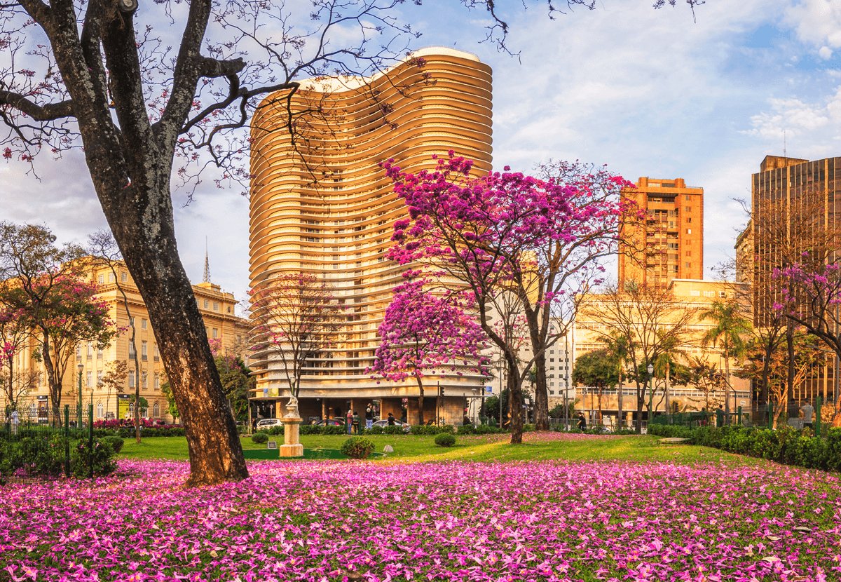 Belo Horizonte Telegram Group Link