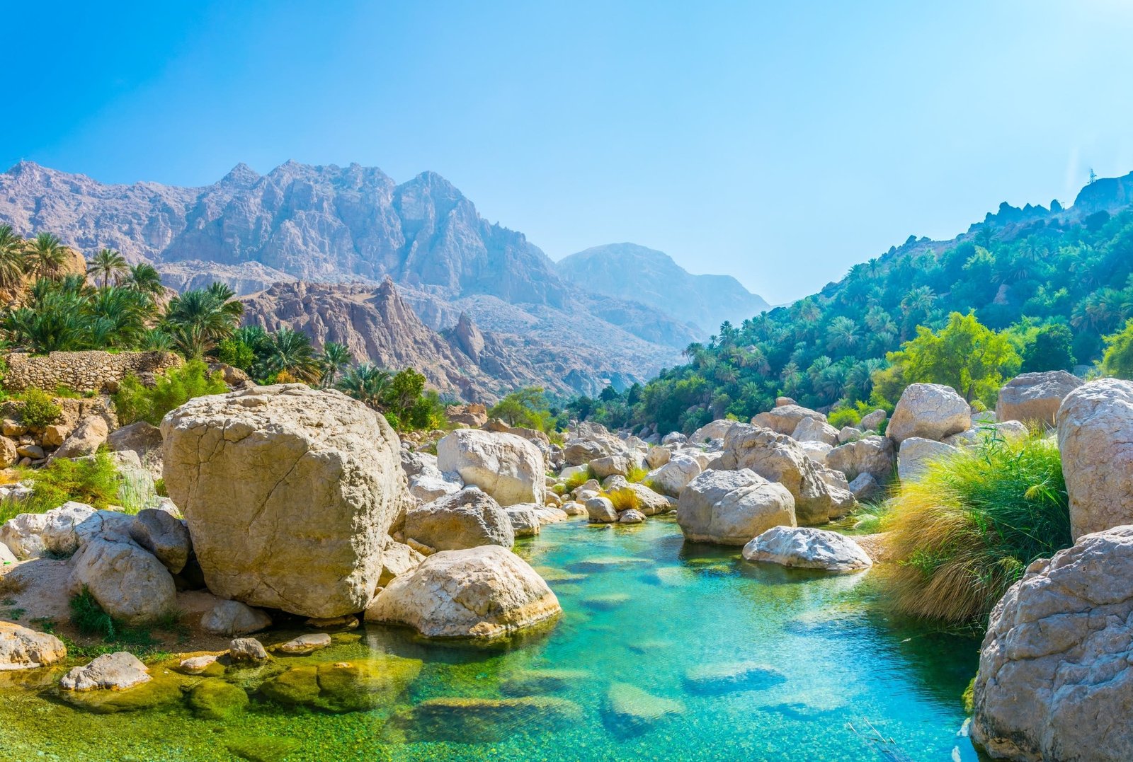 Oman Telegram Group Link