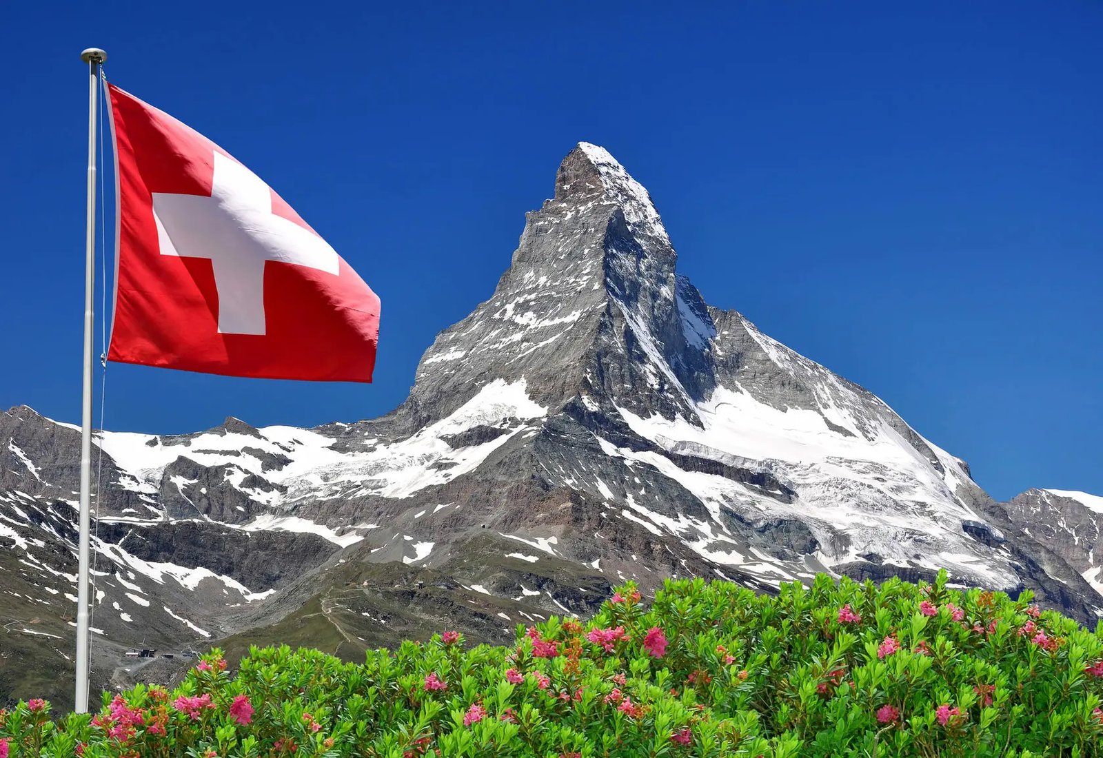 Switzerland Business Telegram Group