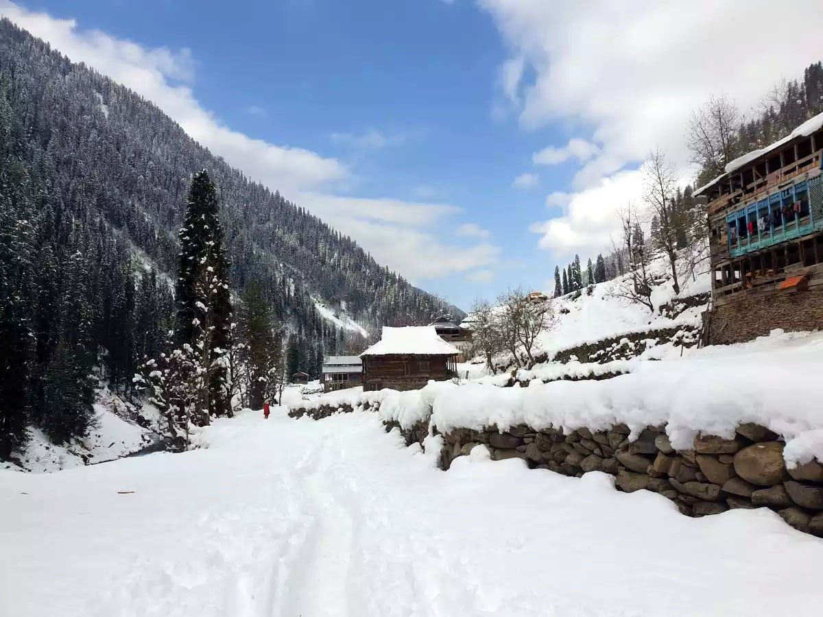 snow-2
