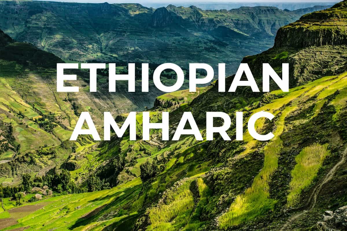Ethiopian-Amharic