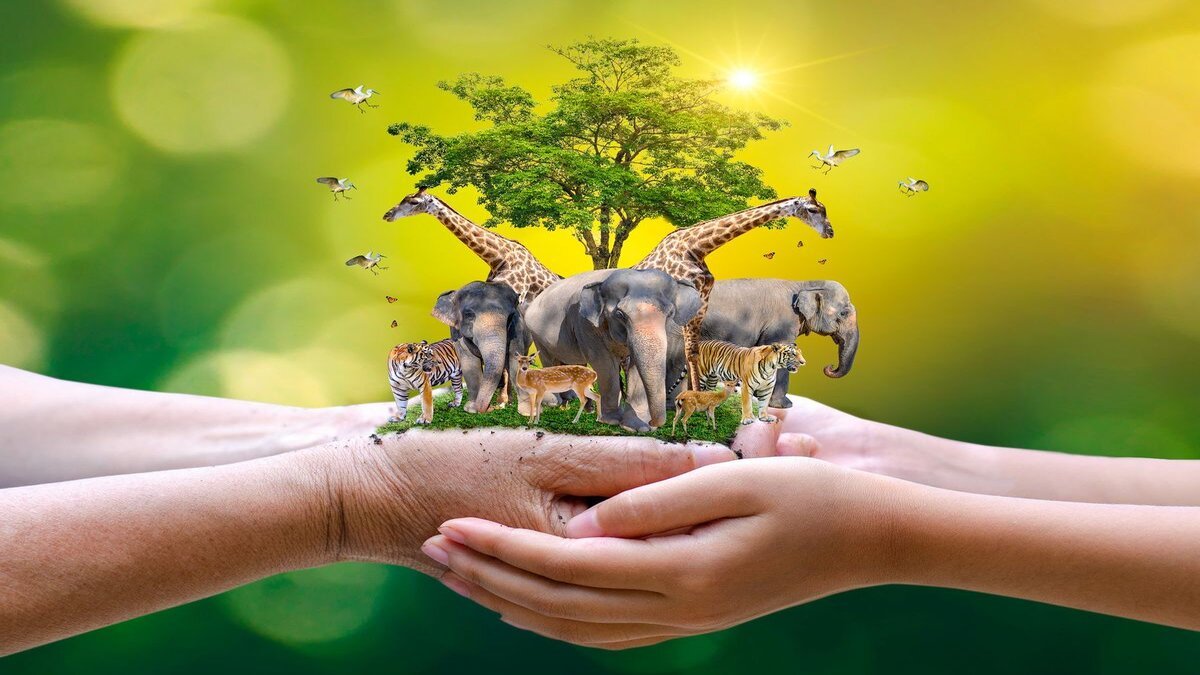 World_Animal_Day_19092021_0