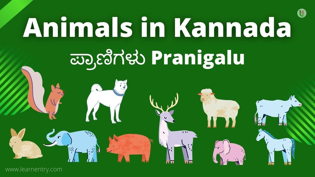 Kannada Animals Whatsapp Group Link Join 2025