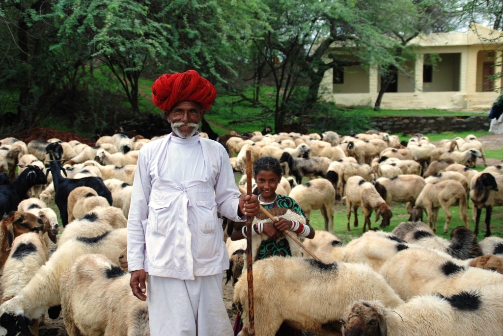 Livestock Whatsapp Group Link Join 2025